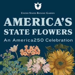 “America’s State Flowers: An America250 Celebration” opens at United States Botanic Garden